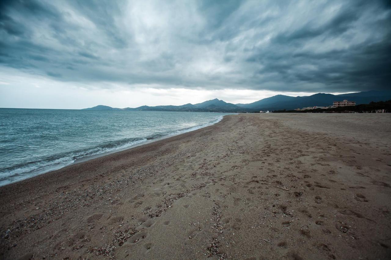 Appartement T2 Les Pieds Dans L'Eau A Argelès-sur-Mer Exteriér fotografie